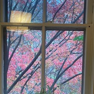 Meet your Posher, Lhamu